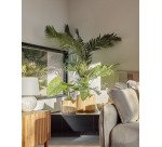 Plante artificielle Alocasia Odora avec pot noir 57 cm