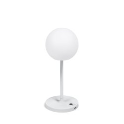 Lampe de table d'extérieure Dinesh en acier gris 40 cm