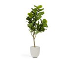 Ficus artificielle 150 cm