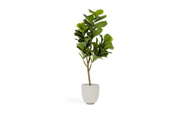 Ficus artificielle 150 cm