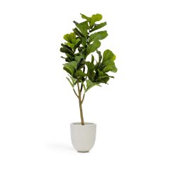 Ficus artificielle 150 cm