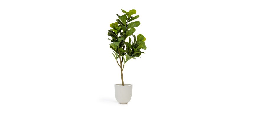 Ficus artificielle 150 cm