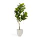 Ficus artificielle 150 cm
