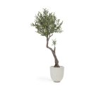 Plante artificielle Olivo avec pot noir 140 cm