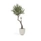 Plante artificielle Olivo avec pot noir 140 cm