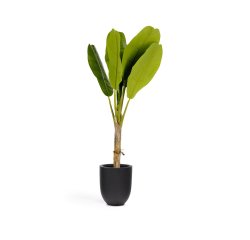 Planta artificial Banano con maceta negro 160 cm
