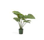 Plante artificielle Alocasia Odora avec pot noir 57 cm