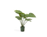 Kunstmatige Alocasia Odora met zwarte plantenpot 57 cm