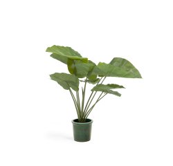 Kunstmatige Alocasia Odora met zwarte plantenpot 57 cm