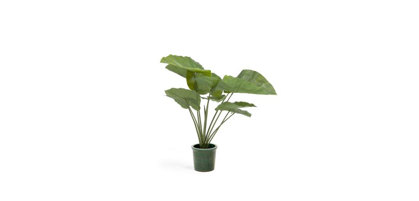 Plante artificielle Alocasia Odora avec pot noir 57 cm