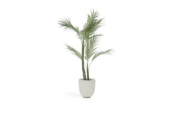 Plantas
