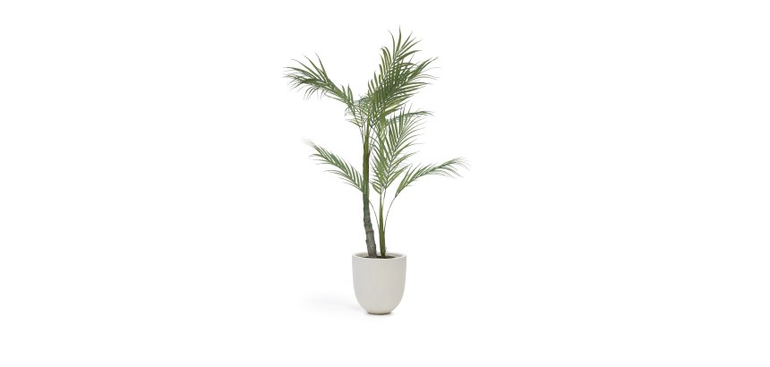 Plante artificielle Palmera avec pot noir 70 cm