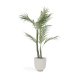Plante artificielle Palmera avec pot noir 70 cm