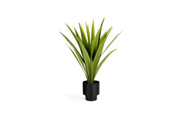 Yucca artificielle Zelena