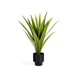 Yucca artificielle Zelena