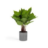 Plante artificielle Anthurium de 50 cm