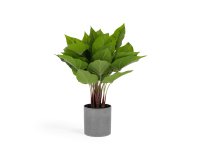 Planta artificial Anthurium con maceta de cemento 50 cm