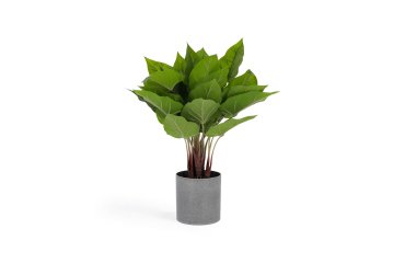 Plante artificielle Anthurium de 50 cm