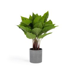 Plante artificielle Anthurium de 50 cm