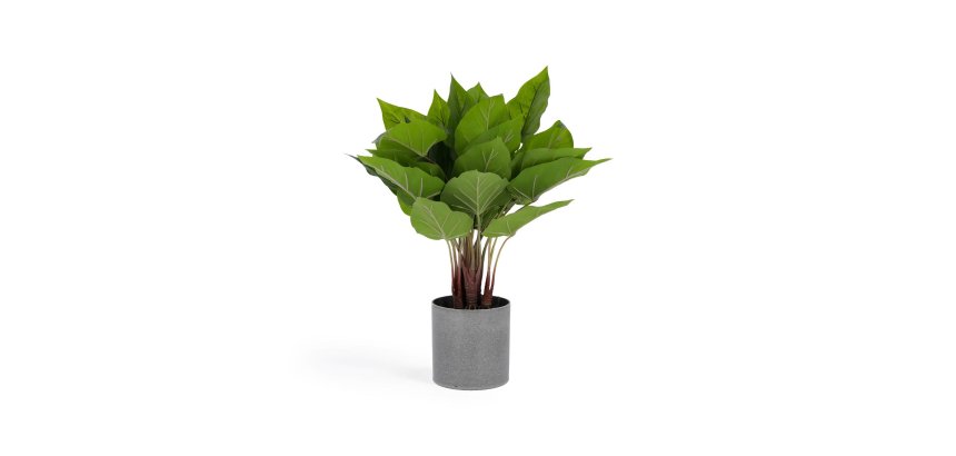 Planta artificial Anthurium con maceta de cemento 50 cm