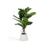 Plante artificielle Lyrata de 60 cm