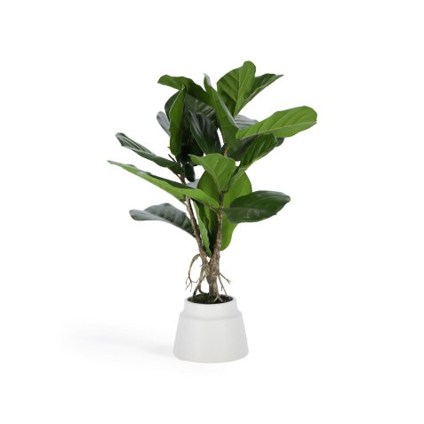Plante artificielle Lyrata de 60 cm