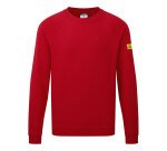 Portwest AS24 Felpa Anti Statica ESD