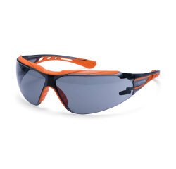 Portwest PS10 Gafas de seguridad Dynamic KN