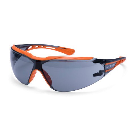 Portwest PS10 Gafas de seguridad Dynamic KN Gris