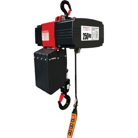 Palan électrique à chaîne 250 kg équipé d'une chaîne de 3 mètres 220V