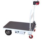 Plateforme motorisée 200 kg 1000 x 600 mm