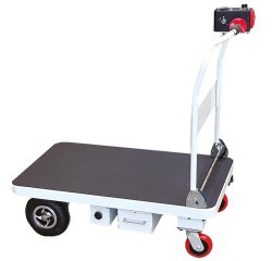 Plateforme motorisée 200 kg 1000 x 600 mm