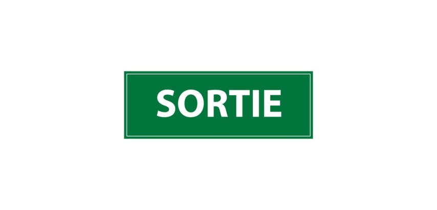 Panneau d'évacuation - Pictogramme Sortie - Signalétique de secours