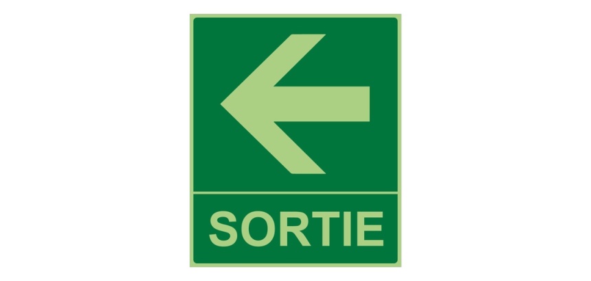Panneau Sortie Flèche gauche -300 x 250 mm- Photoluminescent