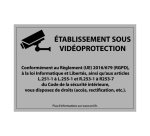 Panneau d'information - Etablissement sous Vidéoprotection 210 x 150 mm Vinyle Souple Autocollant Blanc