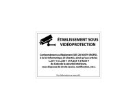 Panneau d'information - Etablissement sous Vidéoprotection 210 x 150 mm Vinyle Souple Autocollant Gris