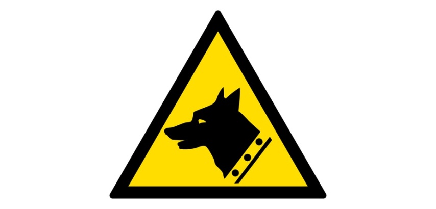 Panneau Danger Chien de Garde W013 - ISO 7010