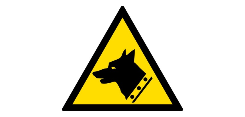 Signalétique Danger Chien de Garde – W013 ISO 7010 Vinyle Souple Autocollant 50 mm
