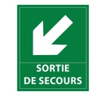 Panneau directionnel - Sortie secours flèche bas gauche - 300x250mm