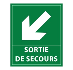Panneau directionnel - Sortie secours flèche bas gauche - 300x250mm