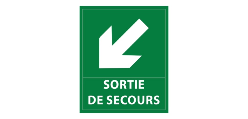 Panneau directionnel - Sortie secours flèche bas gauche - 300x250mm Vinyle Souple Autocollant