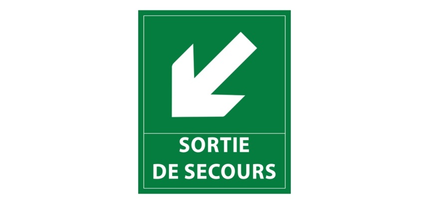 Panneau directionnel - Sortie secours flèche bas gauche - 300x250mm