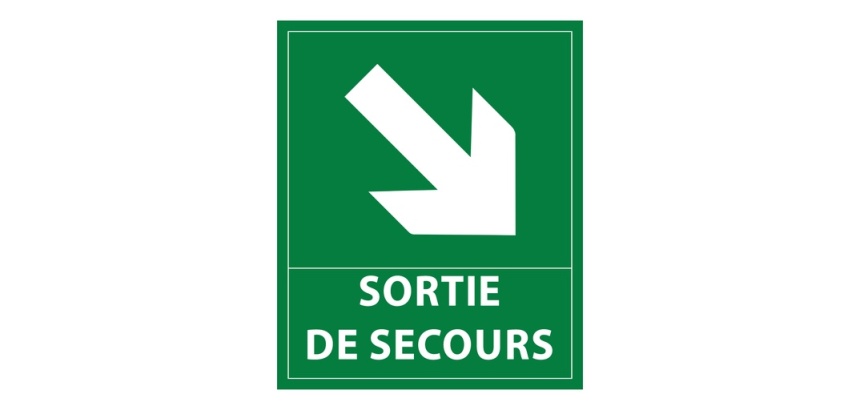 Panneau directionnel - Sortie de secours - E004 - 300x250 mm