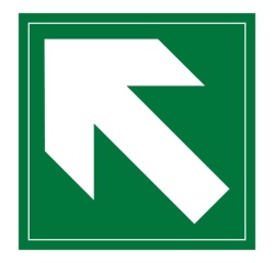 Panneau évacuation - Flèche diagonale en haut à gauche - F001 250 x 250 mm