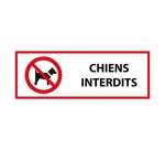 Signalétique d'interdiction - Interdit aux chiens - P021 - ISO 7010