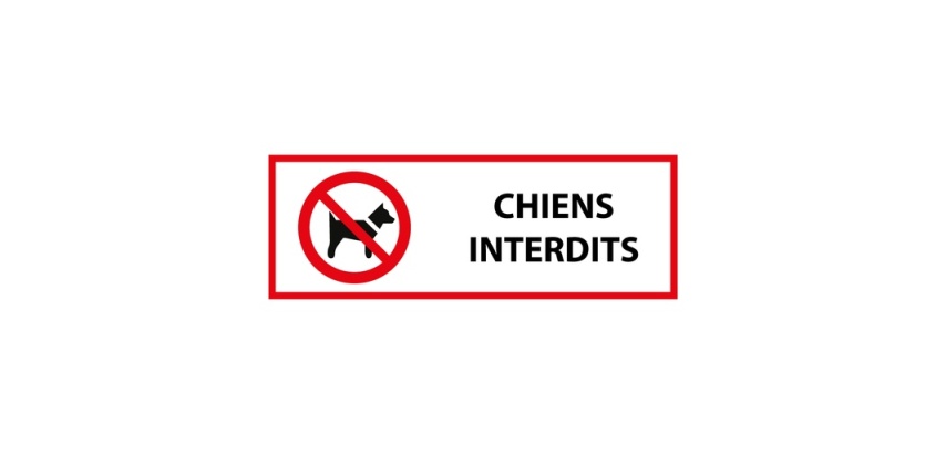 Signalétique d'interdiction - Interdit aux chiens - P021 - ISO 7010