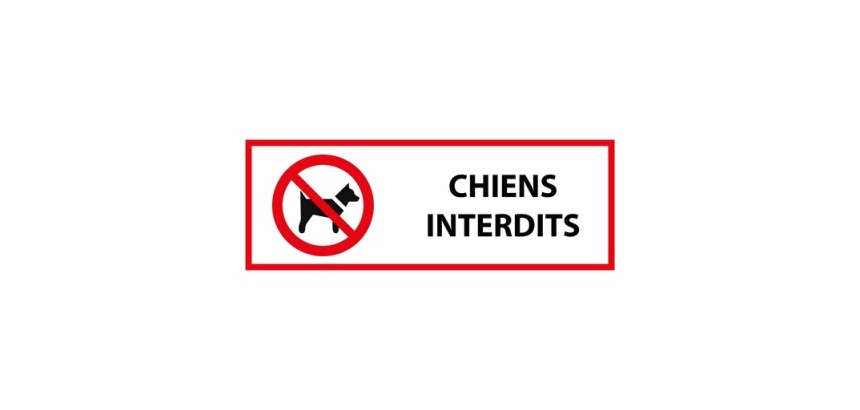 Signalétique d'interdiction - Interdit aux chiens - P021 - ISO 7010