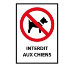 Panneau d'interdiction - Pictogramme Chiens interdits - ISO 7010