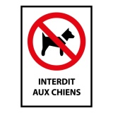 Panneau d'interdiction - Pictogramme Chiens interdits - ISO 7010 PVC 2 mm A3