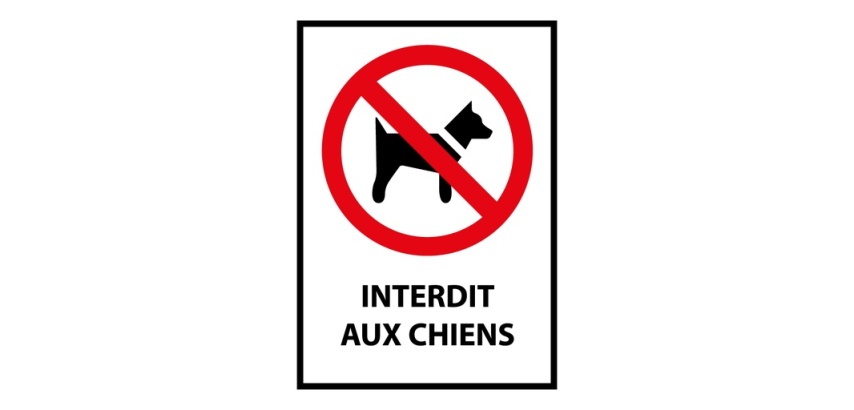 Panneau d'interdiction - Pictogramme Chiens interdits - ISO 7010